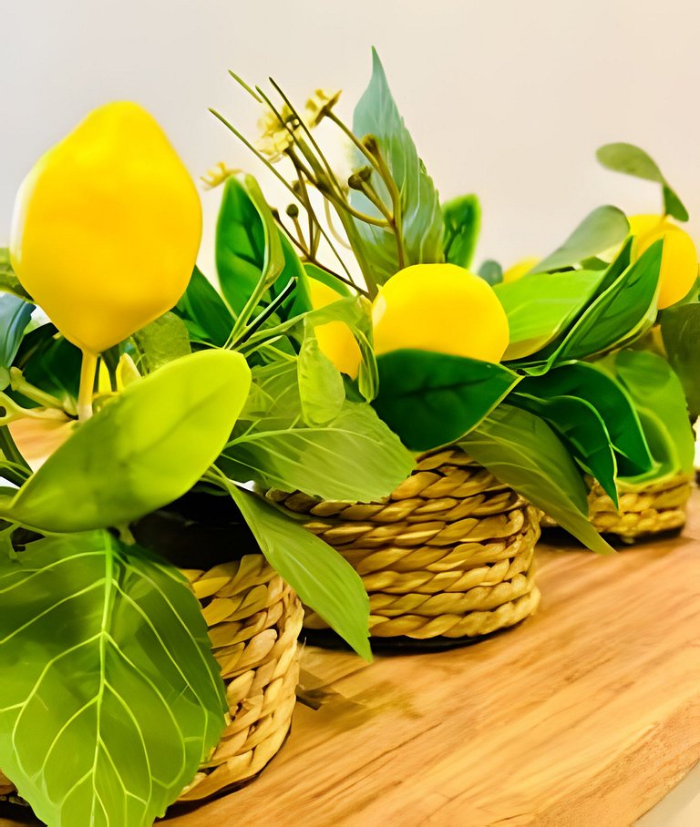 Wai Blue /Salinas del mar /Pozos Colorados/SDMD10